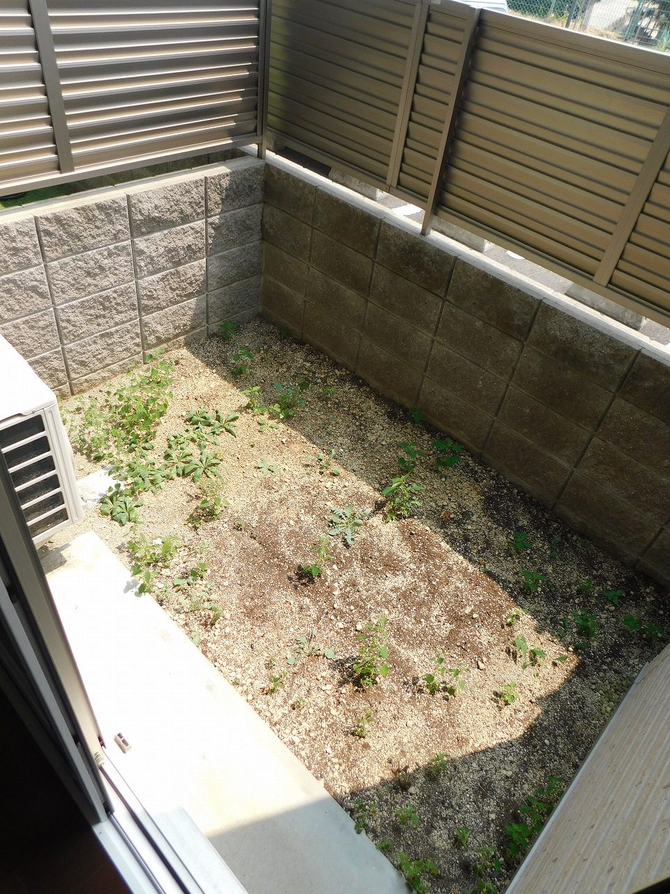 アクロタウン白萩壱番館 DSCN0054
