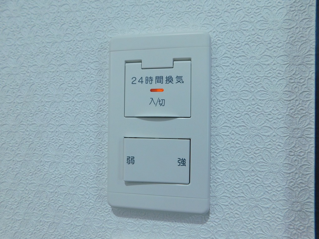 フォルツァ　ドット　ミユ DSCN0072