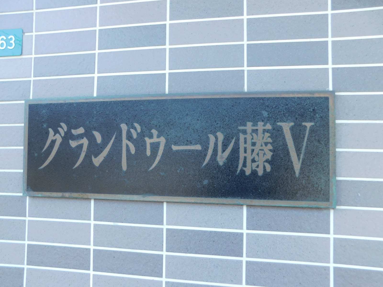グランドゥール藤Ⅴ DSCN0559