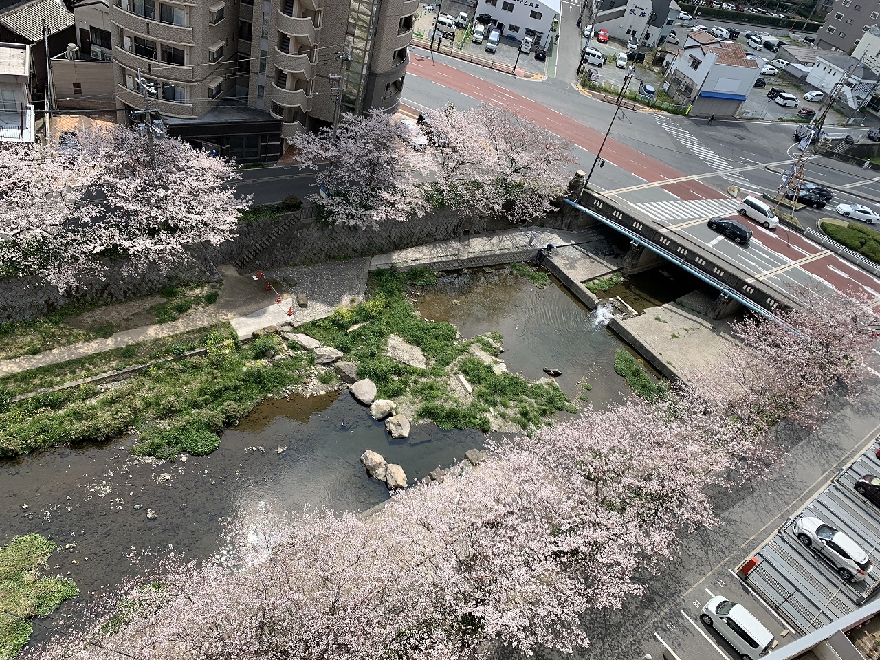 グランドパレスプラウド到津 IMG_6806