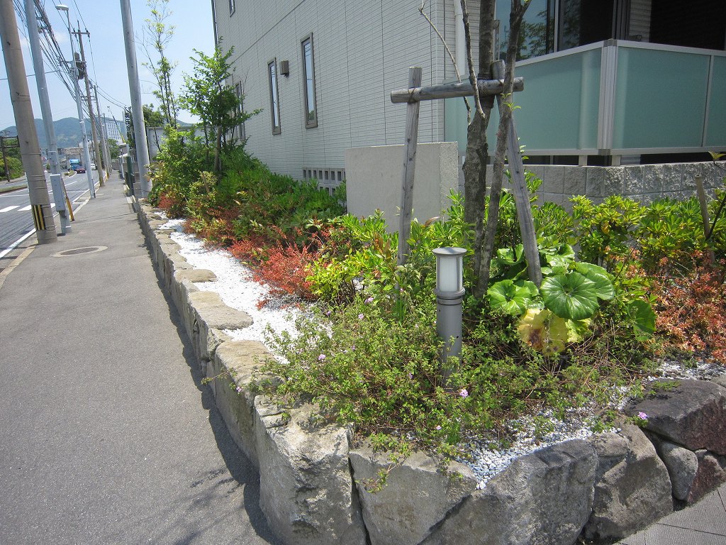 ヴィラウィステリア門司D IMG_8387