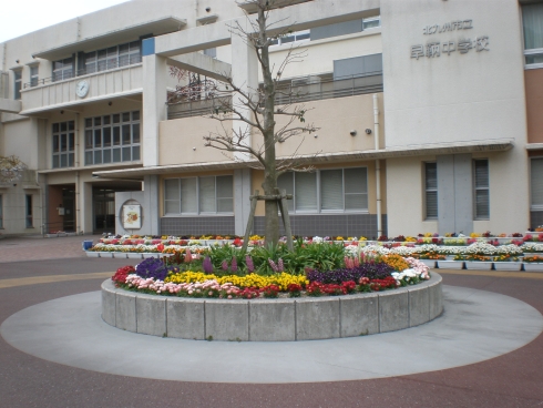 ベイサイドフラッツ 中学校