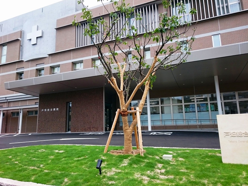 ビアンHAMADA 総合病院