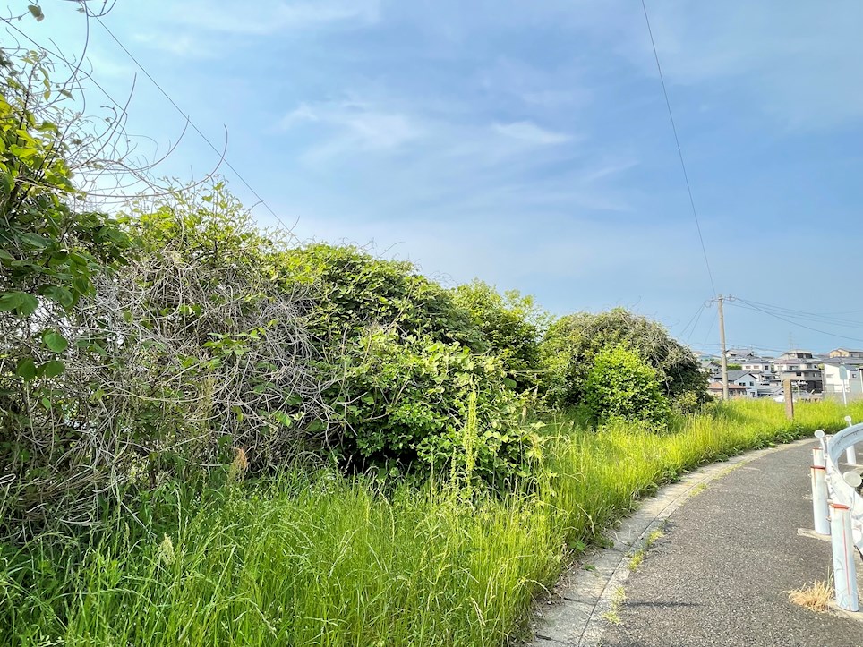 グランビュー華 下上津役1号緑地