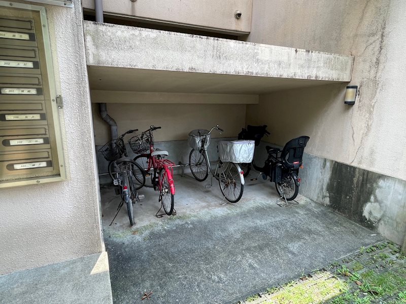 ダ　ヴィンチⅤ その他