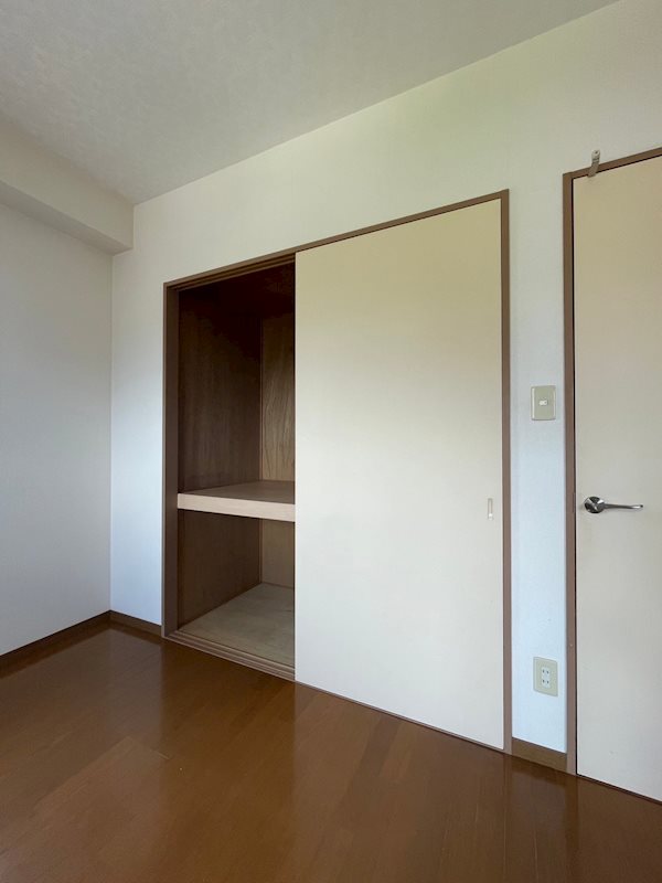 ダ　ヴィンチⅤ 収納