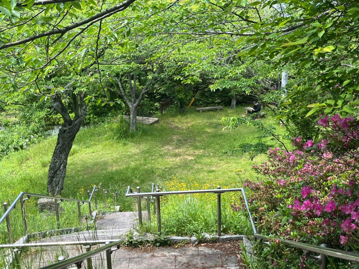 メゾン・ブランシュ 清滝公園