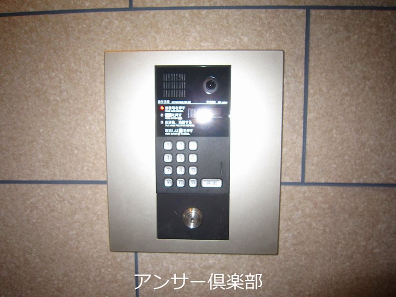 Sunflower(サンフラワー) その他