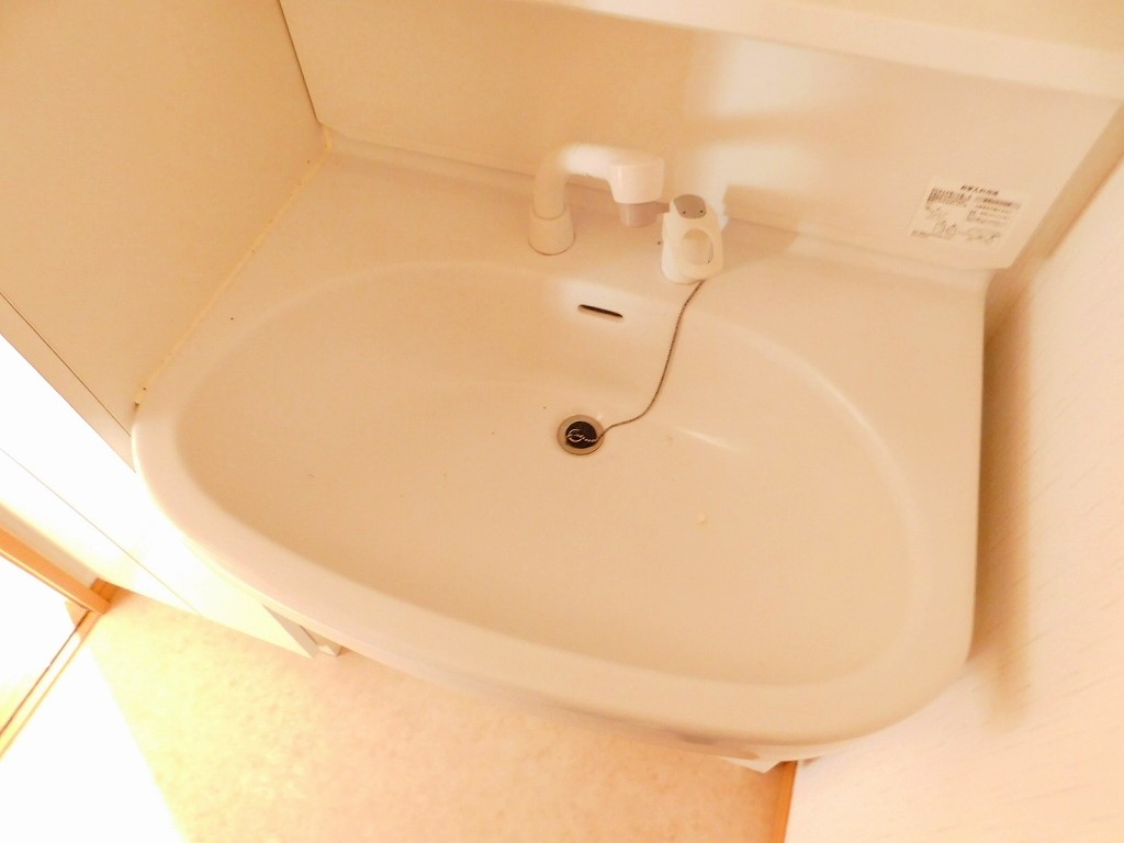 オータムパレス 洗面所