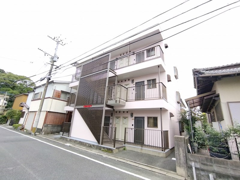 チェリー 外観
