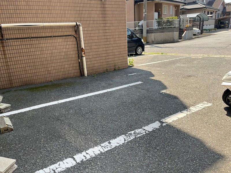 ピエドラ・ブランカ一枝 その他