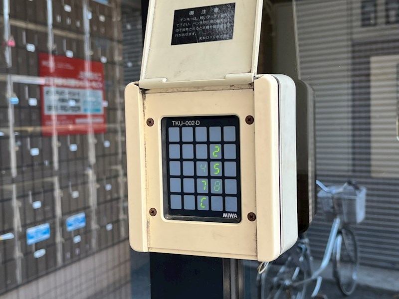 ピエドラ・ブランカ一枝 その他