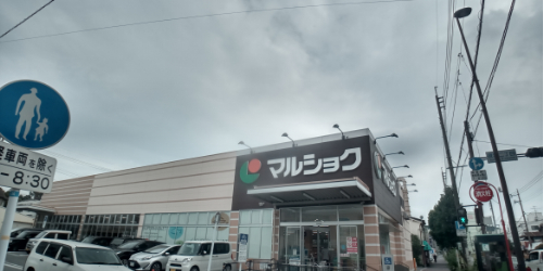 レオネクスト新生Ⅱ 徒歩3分