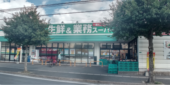 レオネクストオアシス　１９ 徒歩6分
