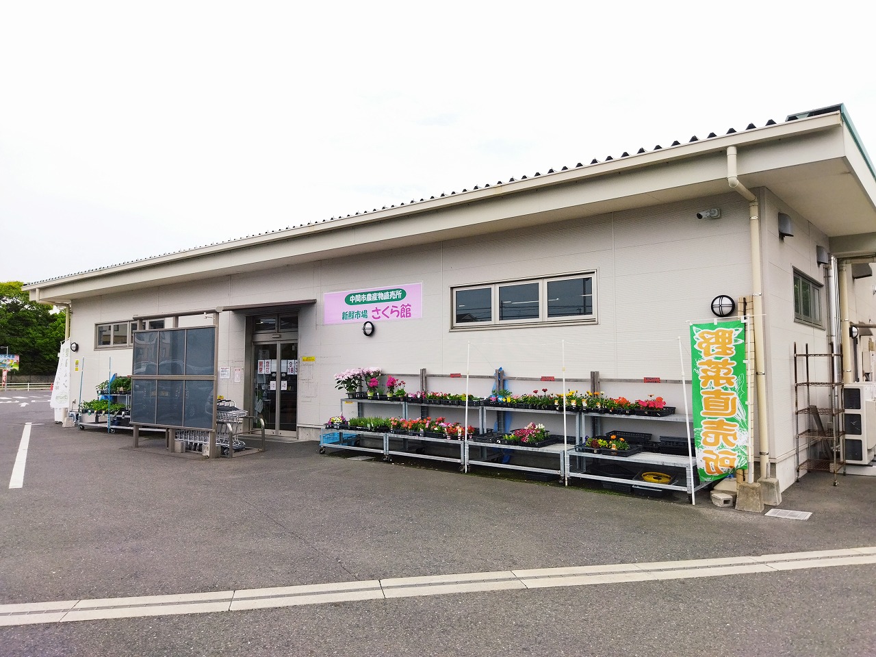グリーンテラスアミーズ　テナント 新鮮市場さくら館