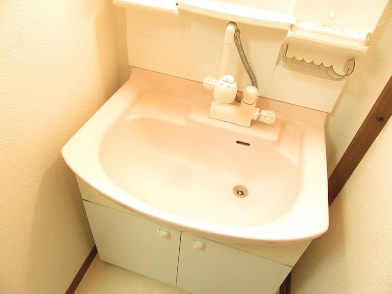 エクセレント中井 洗面所