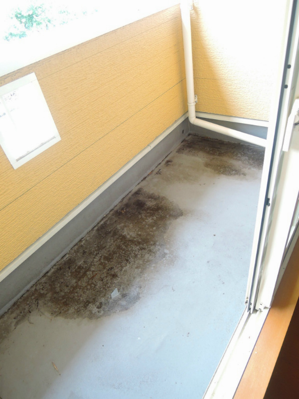 イマージュＭ　A棟  ベランダ