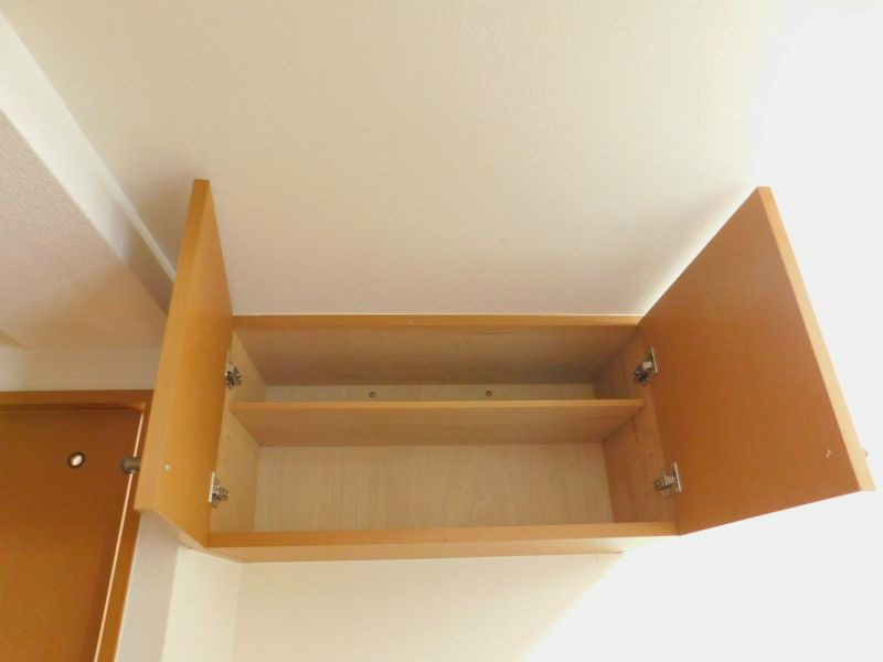 ウェルス守恒 収納