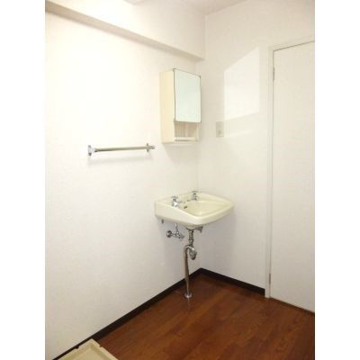 シャトレ中井 洗面所