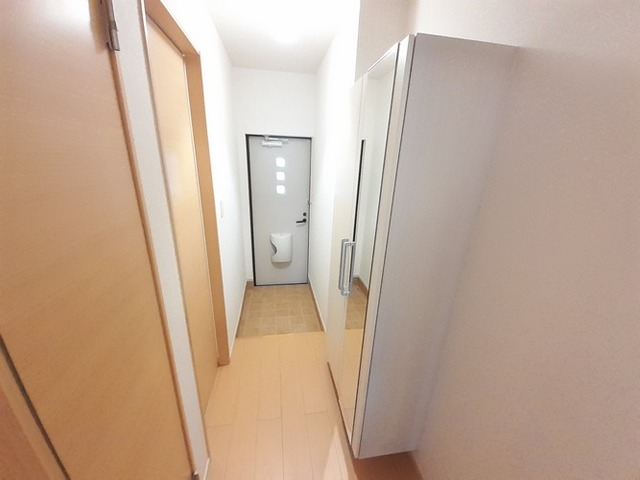 フェリスⅠ その他