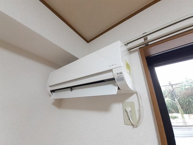 ステラ上の原Ⅱ その他