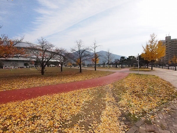 ラインスター三萩野 三萩野公園・メディアドームまで100m