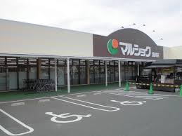 SOLID  ﾏﾙｼｮｸ浅川店