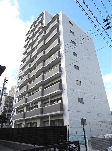 ベーシック・グローブ 外観