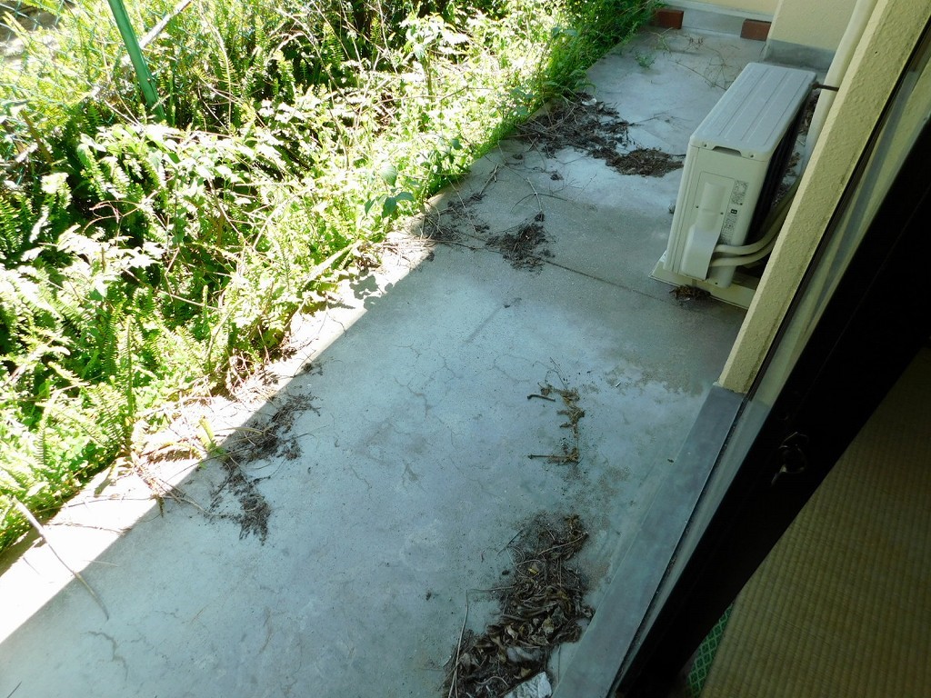 ホウシュウエイト小倉南 ベランダ