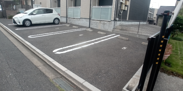 レオネクストウラノス その他