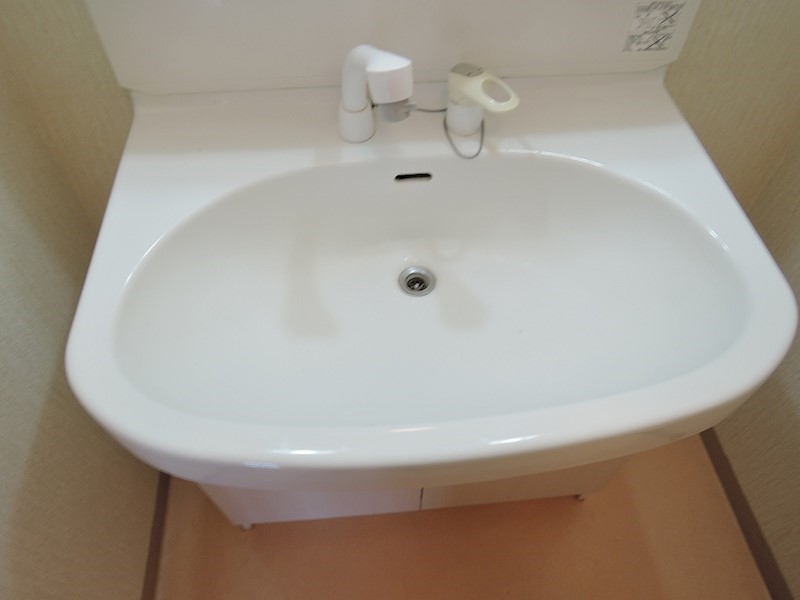 ハーモナイズ361 洗面所