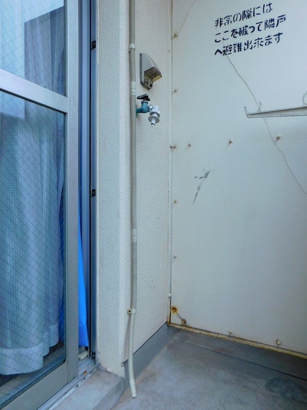 シャトレ黄金 参考画像