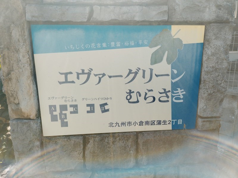 エヴァーグリーン紫の池　A棟 その他