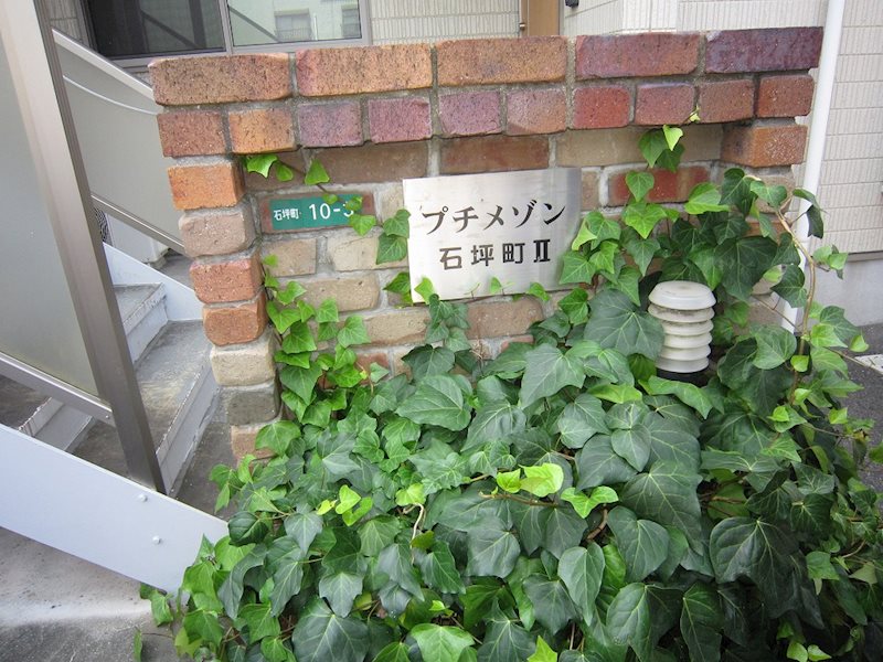 プチメゾン石坪町Ⅱ その他