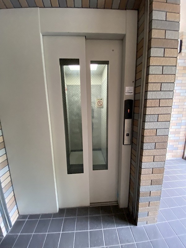 ダ　ヴィンチⅤ その他