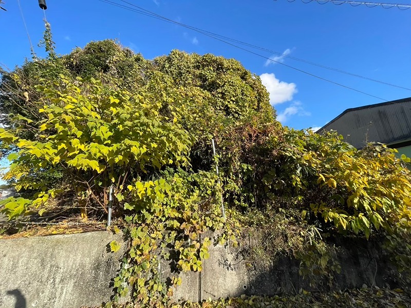 今町三丁目18番貸土地 眺望