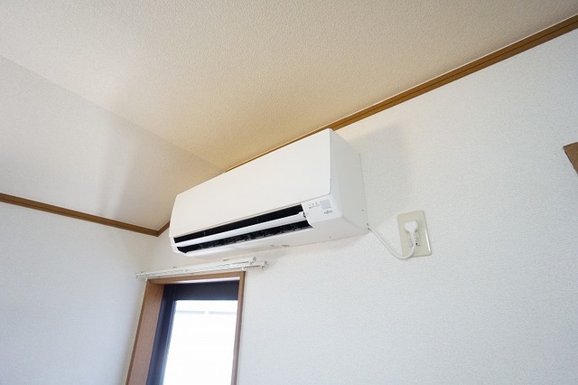 ステラ上の原Ⅱ その他
