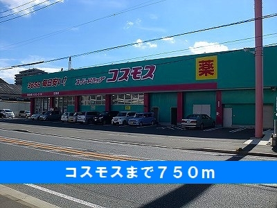 ランドコア田町Ⅱ コスモスまで750m