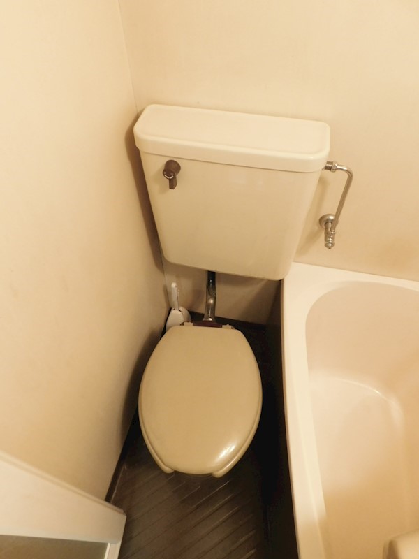 シャトレ黄金 参考画像