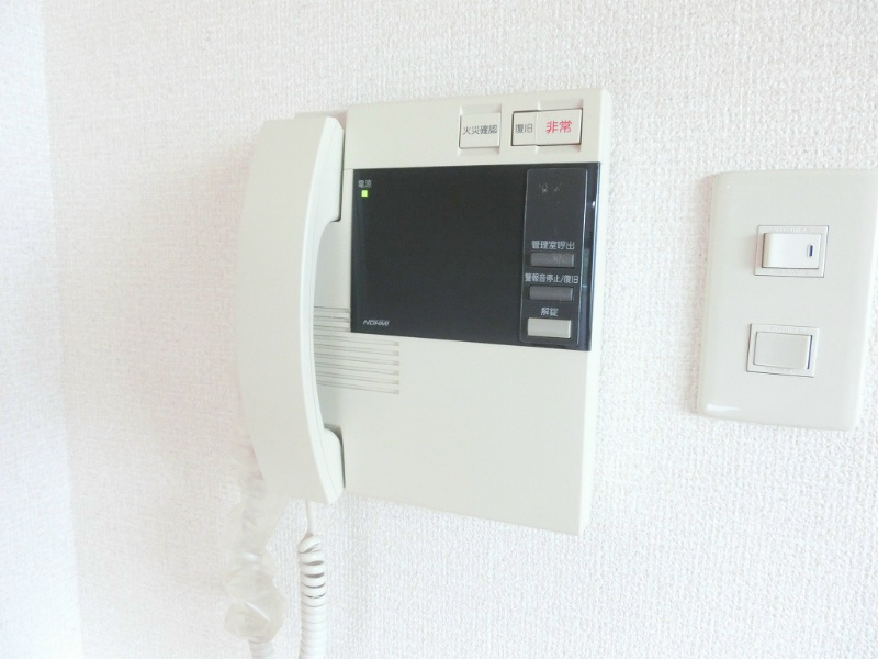 アヴィニールNo.5 参考画像